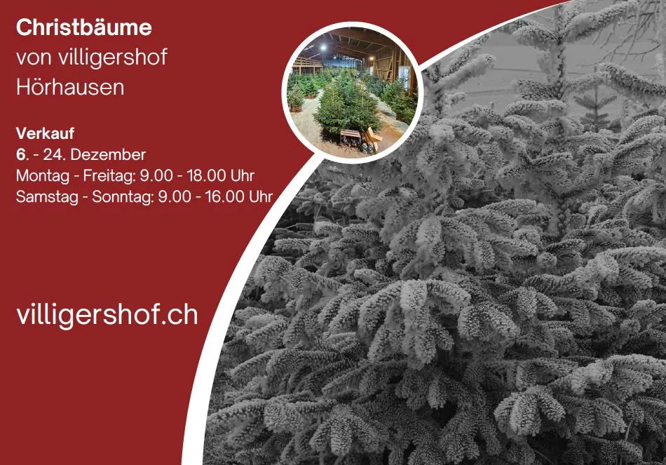 Flyer Christbäume 2025